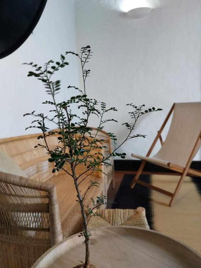 شقة Casa Yooj Designers House In Teguise تيغيسي المظهر الخارجي الصورة